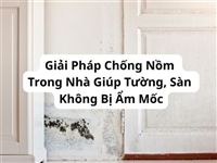 Giải Pháp Chống Nồm Trong Nhà Giúp Tường, Sàn Không Bị Ẩm Mốc