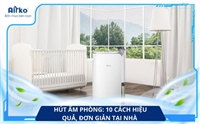 Hút Ẩm Phòng: 10 Cách Hiệu Quả, Đơn Giản Tại Nhà 