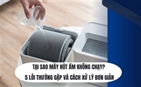 Tại Sao Máy Hút Ẩm Không Chạy? 5 Lỗi Thường Gặp Và Cách Xử Lý Đơn Giản