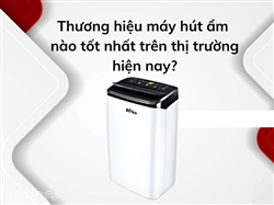 Thương hiệu máy hút ẩm nào tốt nhất trên thị trường hiện nay?