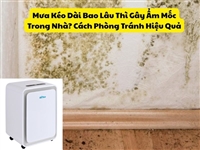 Mưa Kéo Dài Bao Lâu Thì Gây Ẩm Mốc Trong Nhà? Cách Phòng Tránh Hiệu Quả