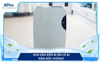 Nhà Gần Biển Bị Ẩm Có Bị Nấm Mốc Không? 