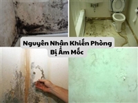 Nguyên Nhân Khiến Phòng Bị Ẩm Mốc 