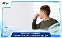 Phòng hôi mùi ẩm mốc: Nguyên nhân và cách khử mùi hiệu quả