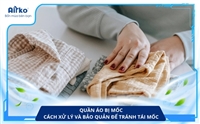Quần áo bị mốc: Cách xử lý và bảo quản để tránh tái mốc