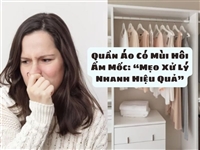 Quần Áo Có Mùi Hôi Ẩm Mốc: “Mẹo Xử Lý Nhanh Hiệu Quả”