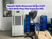 Nguyên Nhân Showroom Bị Ẩm Là Gì? Cách Khắc Phục Tình Trạng Ẩm Mốc