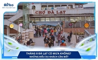Tháng 8 Đà Lạt Có Mưa Không? Những Điều Du Khách Cần Biết